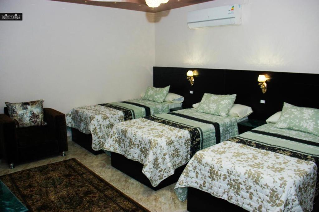 Aswan Plaza - Share Apartment المظهر الخارجي الصورة